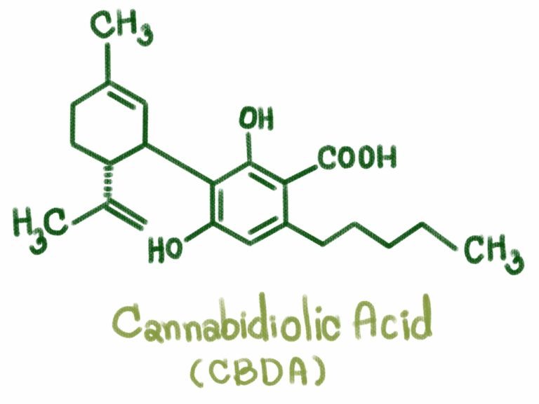 Taking a Look at the Cannabinoid CBDA