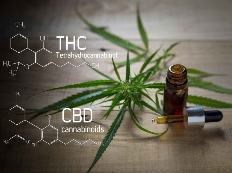 Exploring the Cannabinoid CBD