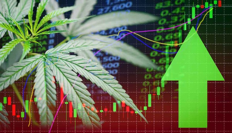 Cannabis Sales Topping the Charts as More States Implement Legal Markets