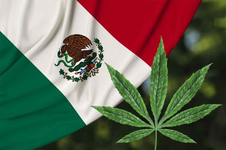 Mexico Cannabis Legalization Bill Clears Senate Committee