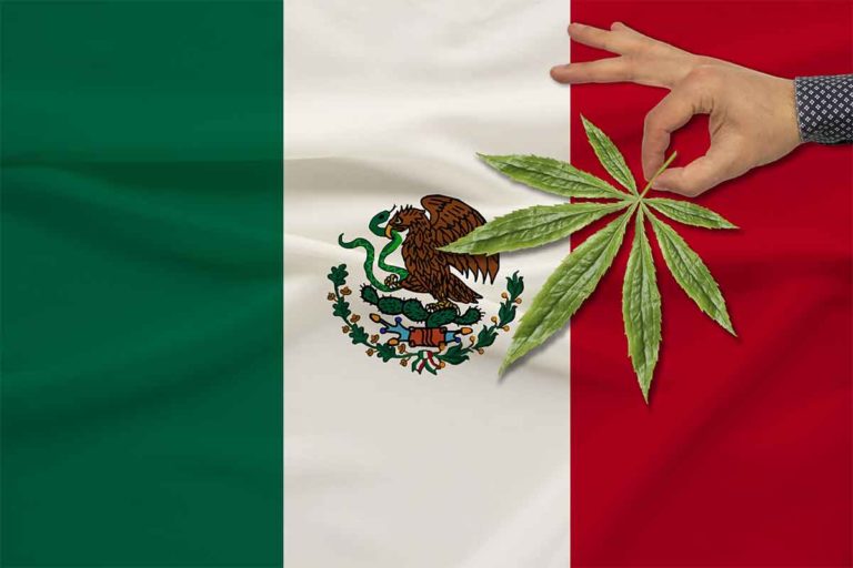 Mexican Senators Consider Another Extension for Cannabis Legalization Deadline