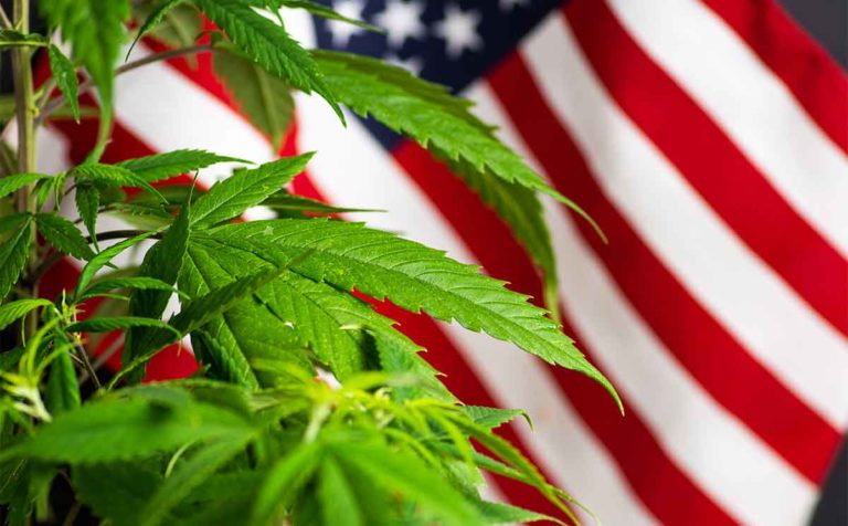 New Strategy to Pass Marijuana Legalization in the Senate