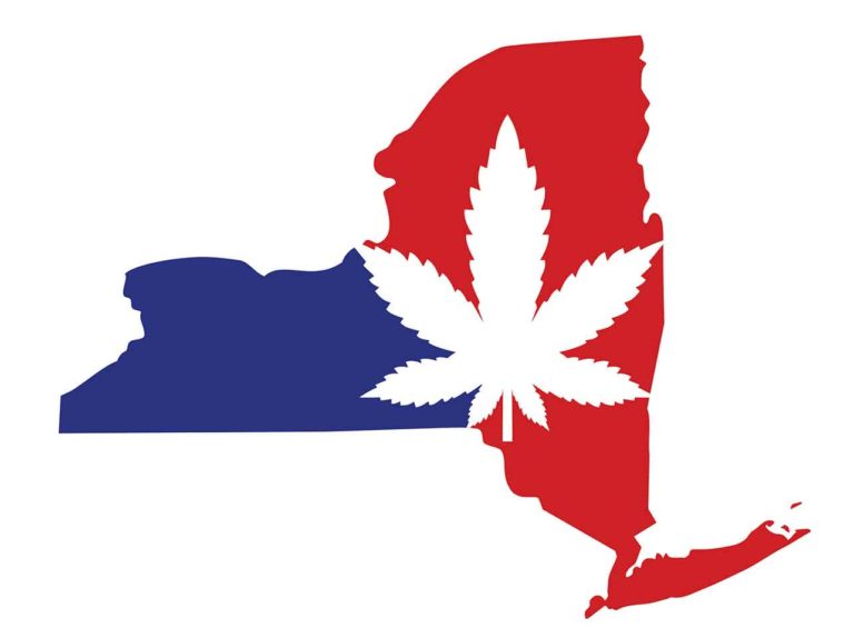 New York Launched New Website for Office of Cannabis Management