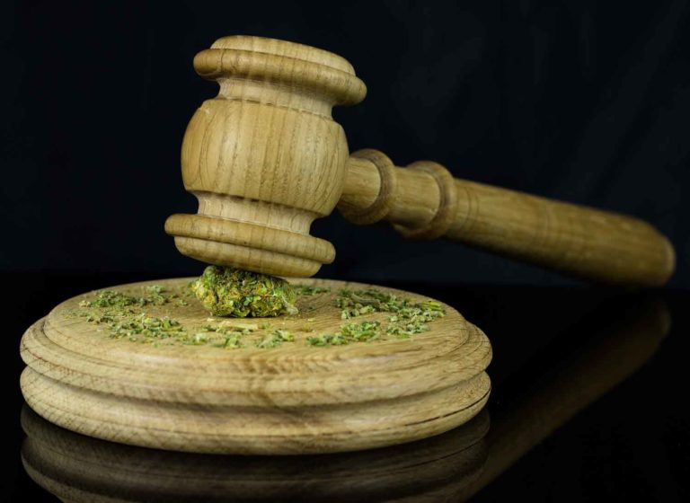 Supreme Court Overturns Voter Approved Cannabis Measure