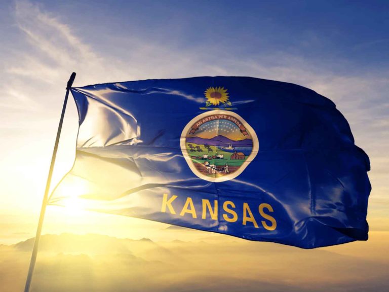 Delta 8 and Kansas State Law