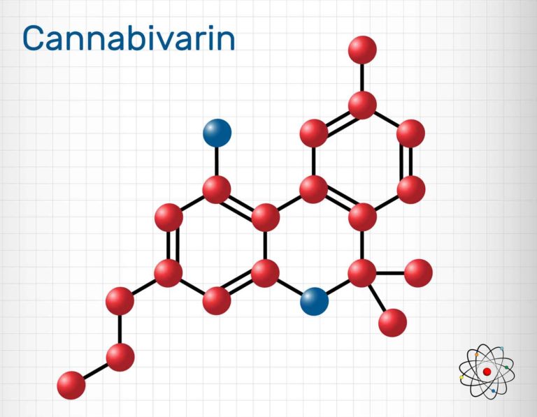 Understanding the Cannabinoid CBV