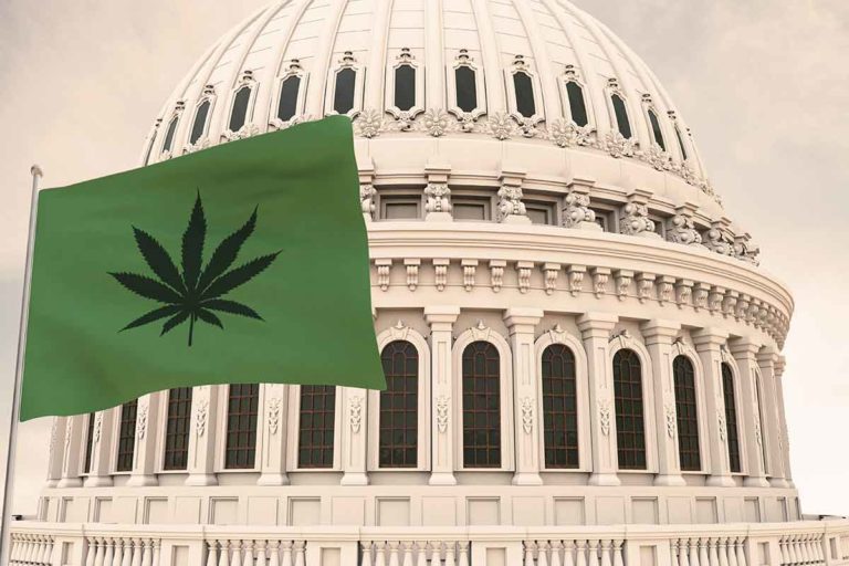 Bipartisan Groups Seek Federal Protections for the Marijuana States in Next Spending Bill