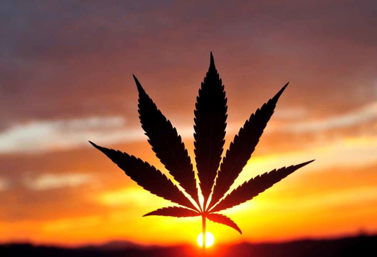 Minnesota House Approves Cannabis Legalization Bill