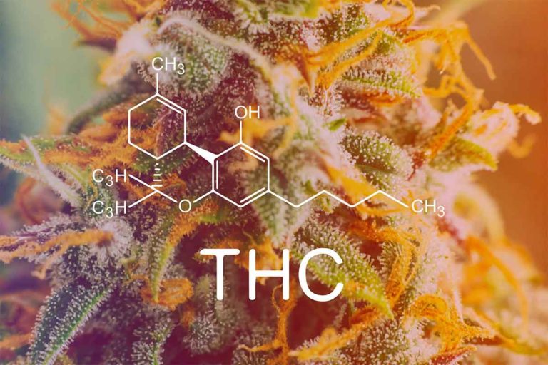 Regulation of THC and Delta 8 in Washington State