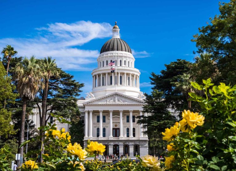 California Senate Approves Psychedelic Possession Bill