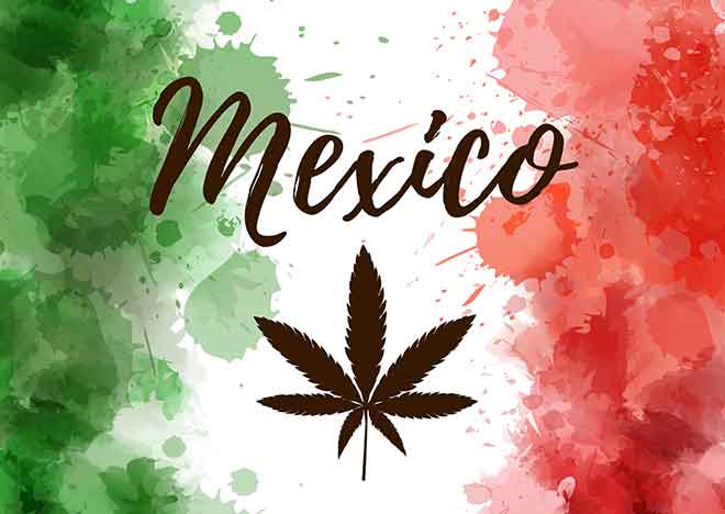 Mexico’s Supreme Court May End Marijuana Prohibition Itself