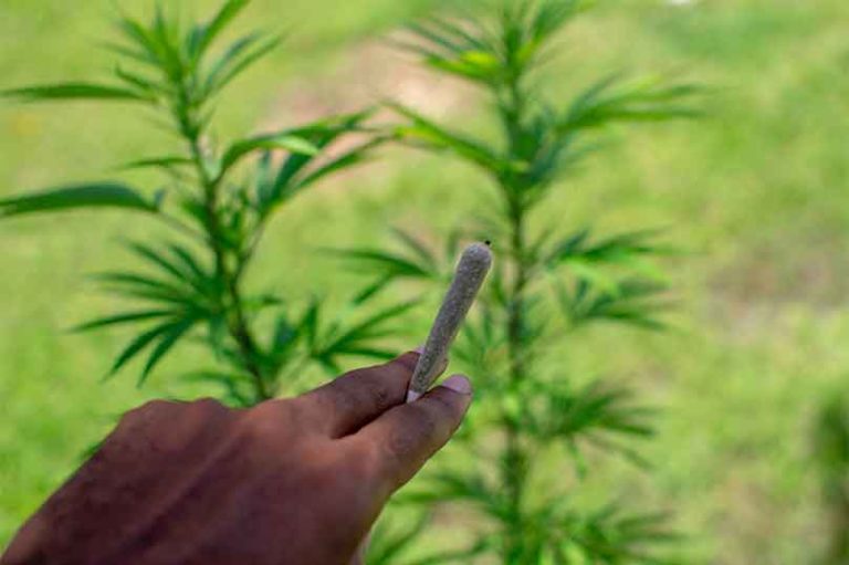 Rhode Island Senate Committee Approved Marijuana Legalization Bill