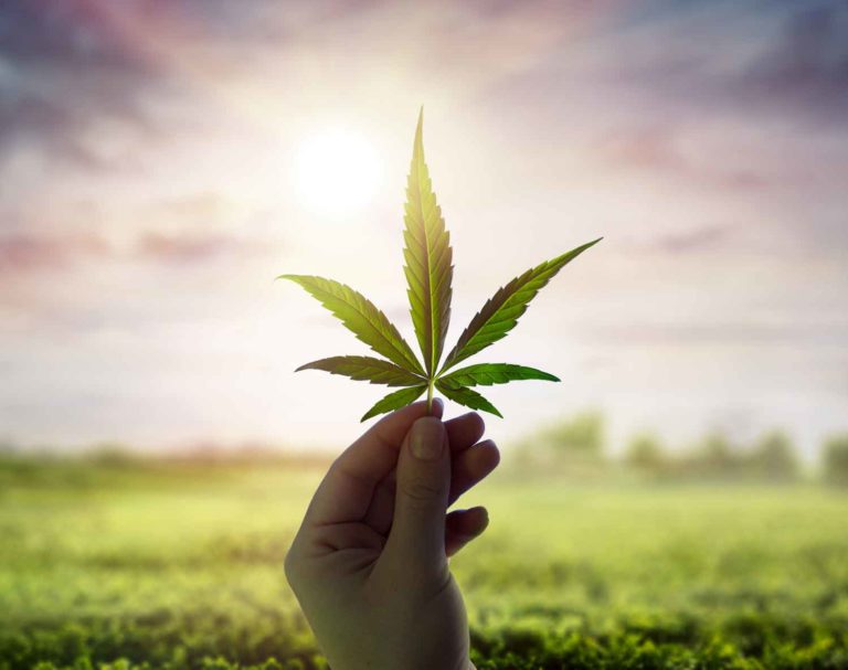 Recreational Cannabis Legalization Begins This Week in Three States