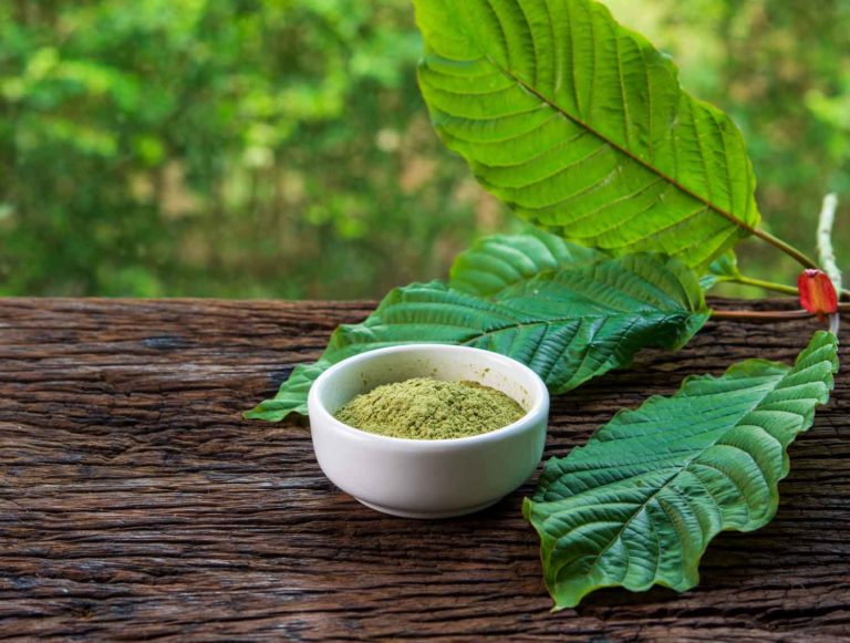 Kratom Activists Flood FDA With Comments Opposing International Ban