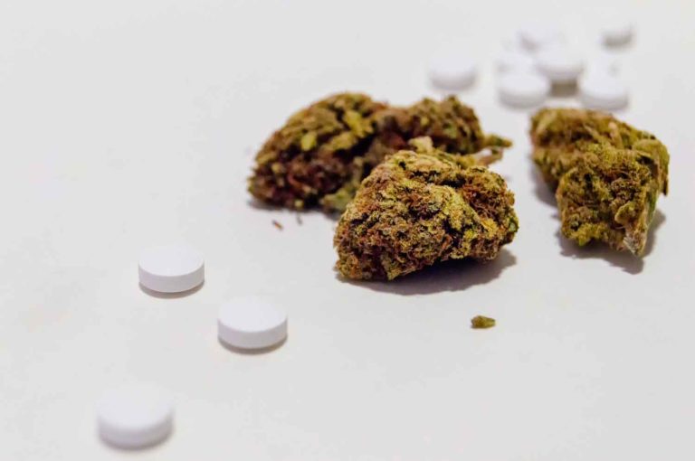 Cannabis Leading to the Reduced Opioid Use for Chronic Pain