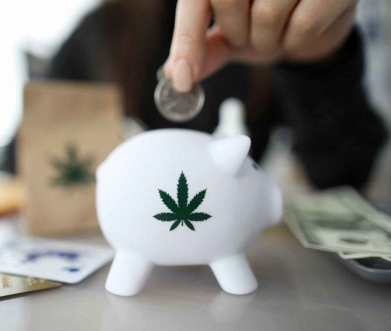 Top Financial Regulator Slams Congress Over Cannabis Inaction