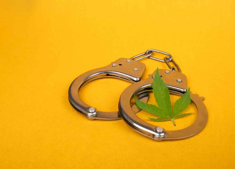 Public Cannabis Consumption Led to Decline in Cannabis Arrests