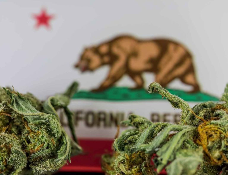 Governor of California Signs Several Cannabis Reform Bills