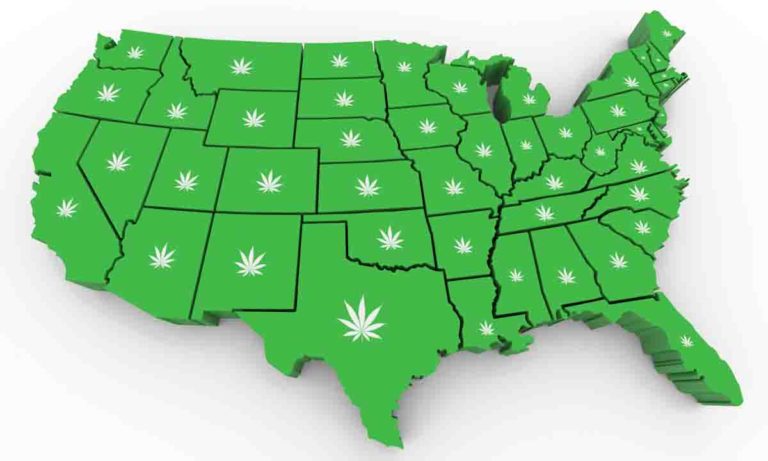 Americans Want to Live in States With Legal Cannabis Programs