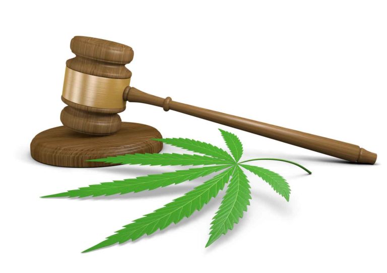 Voters in Ohio Divided Over Marijuana Decriminalization Proposals