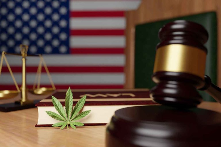 Marijuana Laws Don’t Affect the Labor Market by Causing Negative Outcomes, According to Review