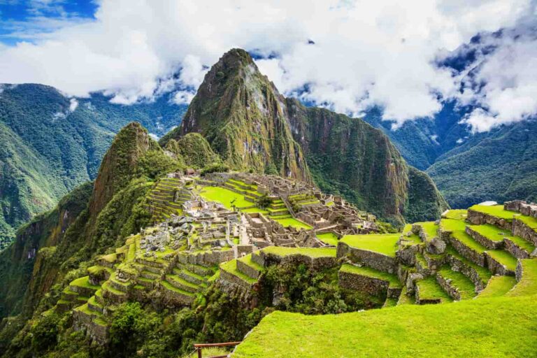Hemp Advocates Call Peru a Golden Opportunity Despite Trouble
