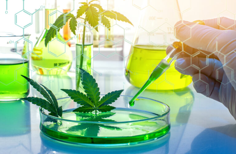 The Surge in Cannabis Research: A Decade of Discoveries
